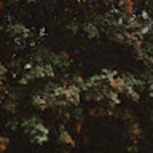 Meet your Posher, Zelal